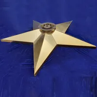 Звезда вечный огонь (1628) поставка комплект горелка ГВД 379 10 89 00 ПС ø 1100 мм. пустотелая  в Набережных Челнах