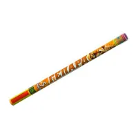 Римские свечи Гепард Р5512 купить от производителя Русский Фейерверк — Набережные Челны